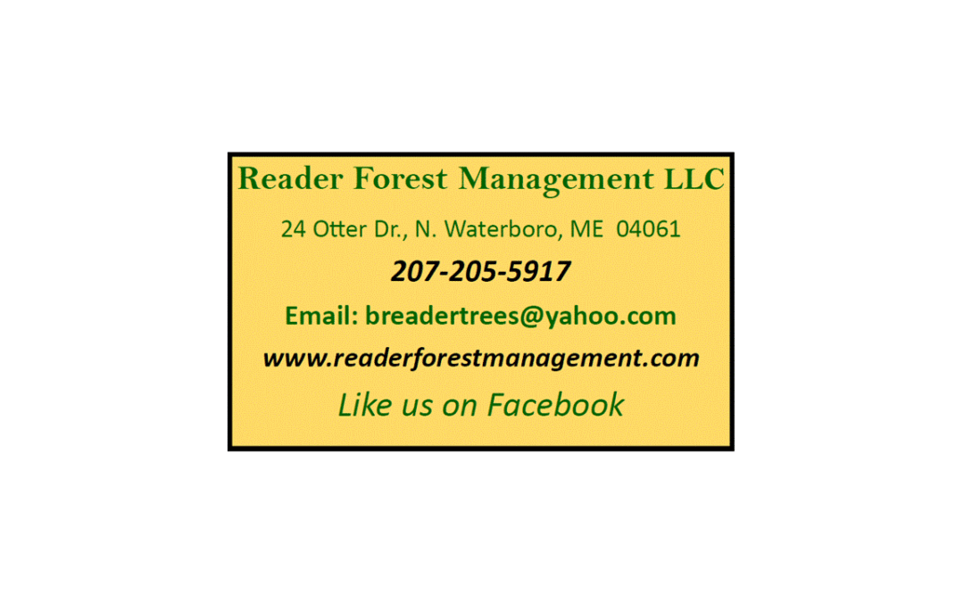 Reader Forest Management LLC